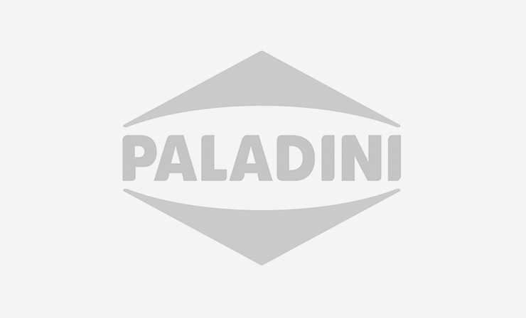 Paladini